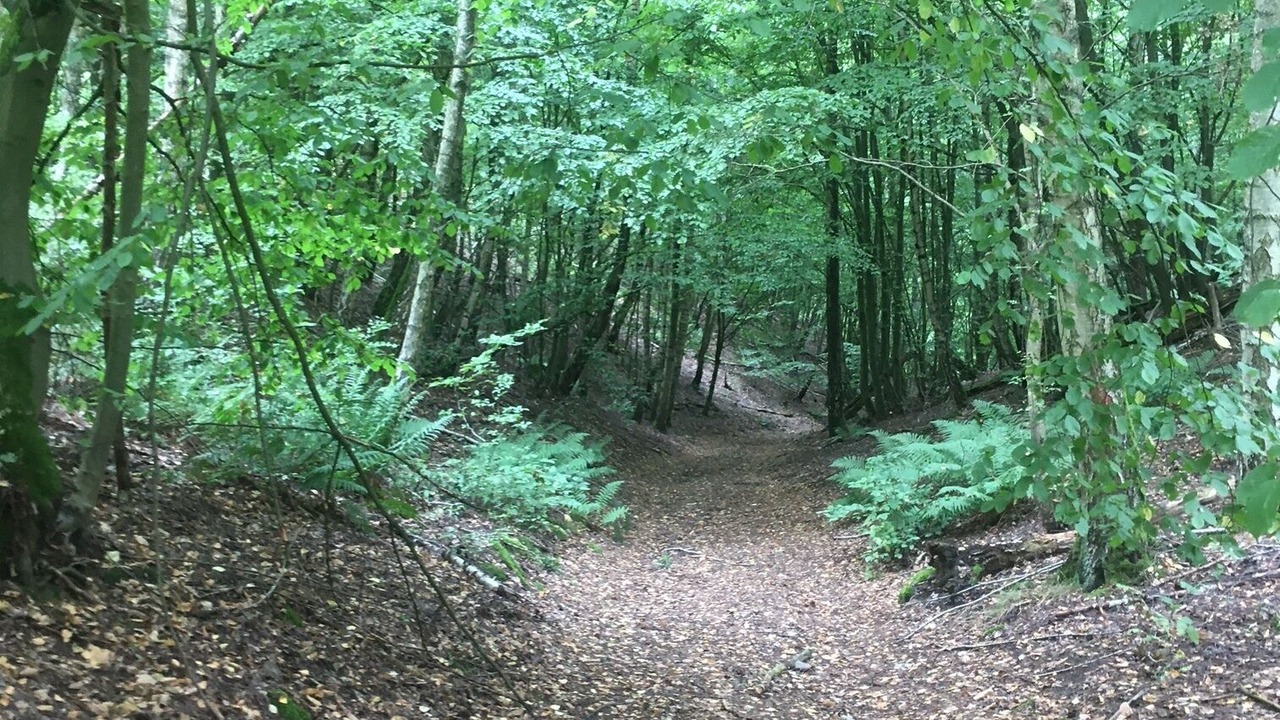 Photo of Outdoor in Leuenberg