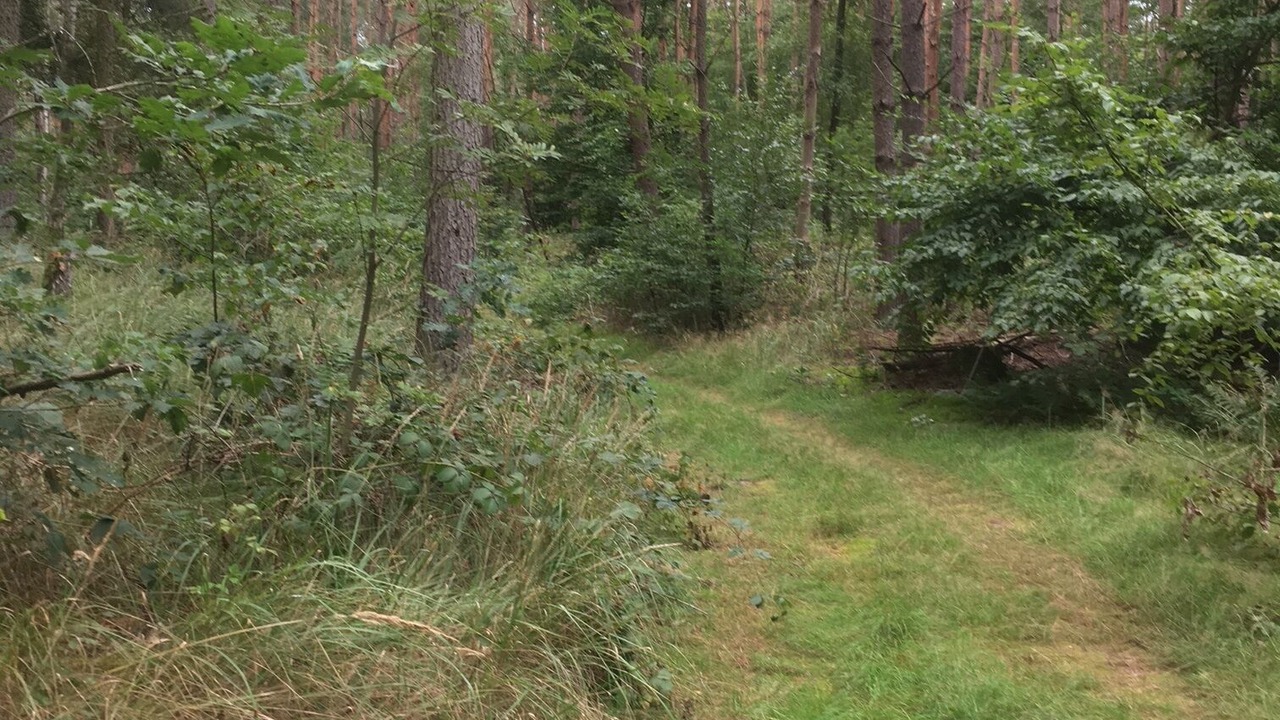 Photo of Outdoor in Leuenberg
