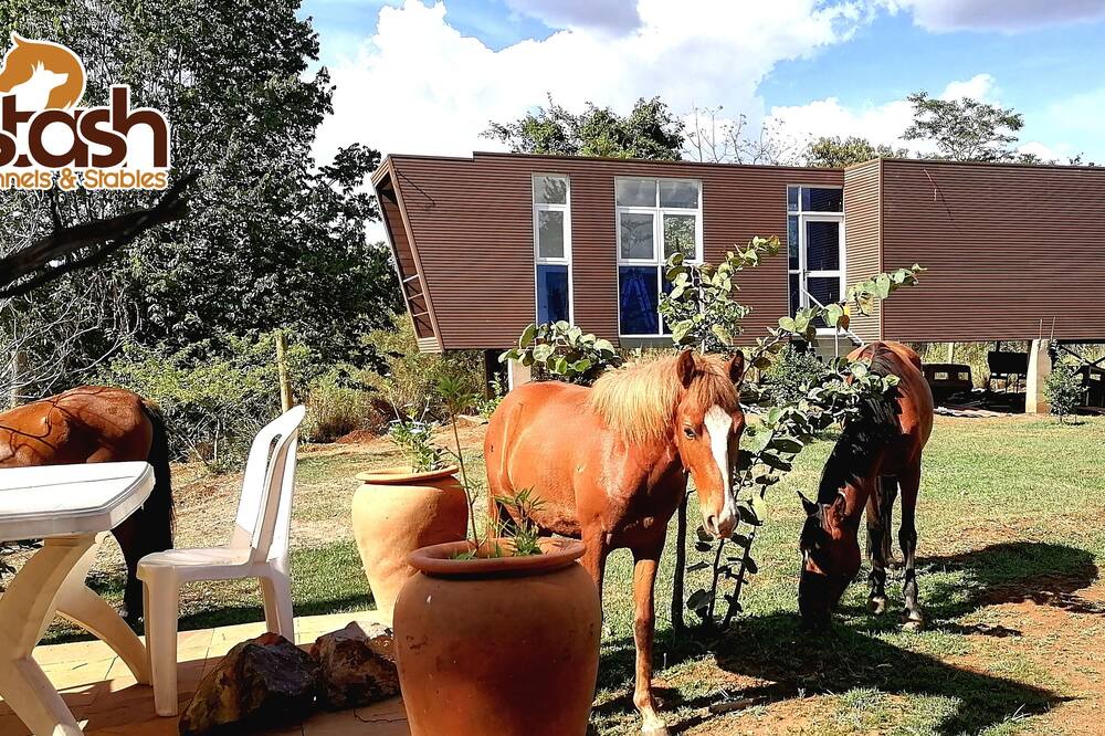 Photo of Outdoor in Sagana
