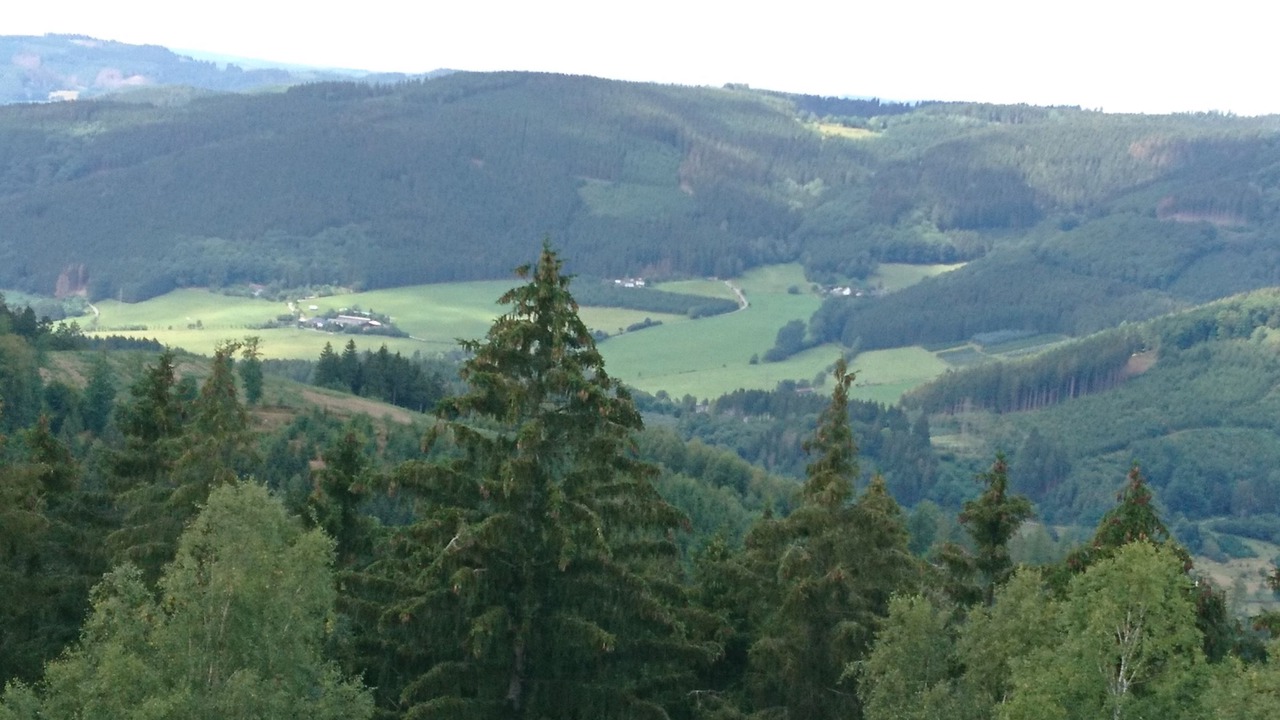 Photo of Others in Sundern