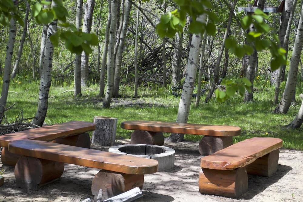 Photo of Others in Waterton Park