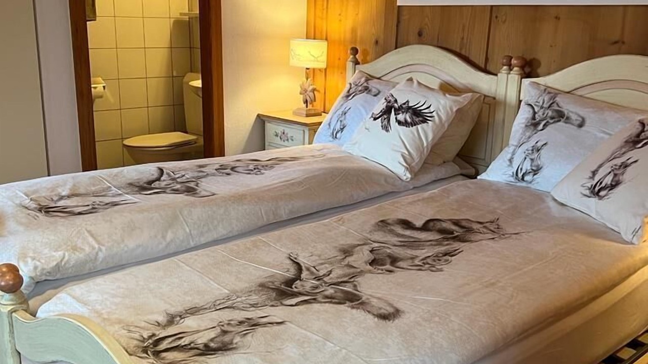 Photo of Bedroom in Salouf