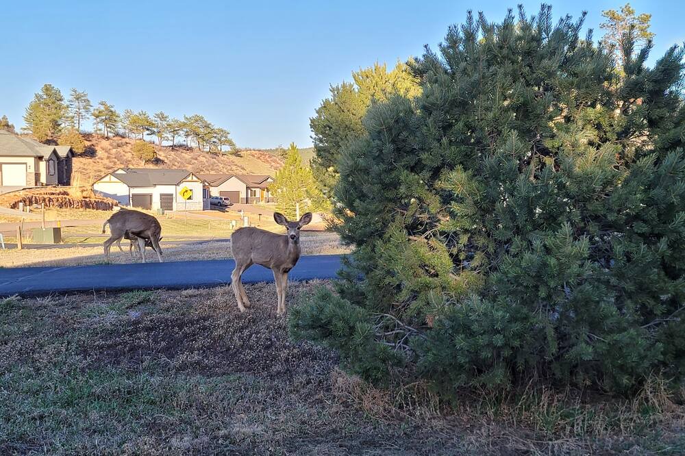 Photo of Outdoor in Perry Park