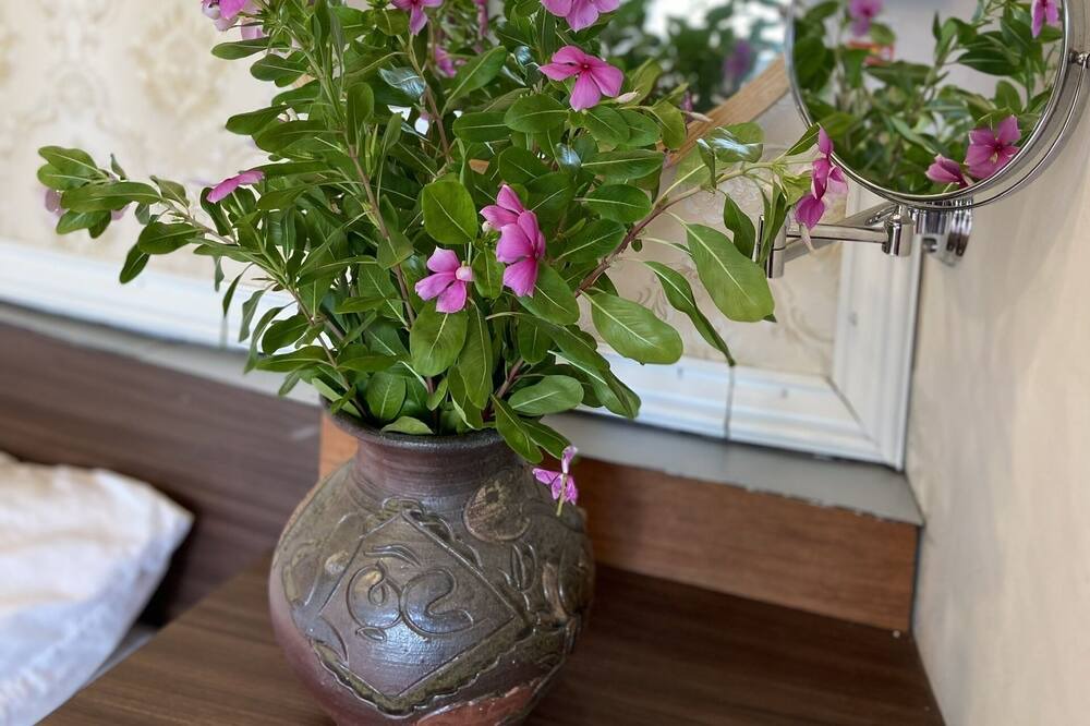 Photo of Bedroom in Luong Son