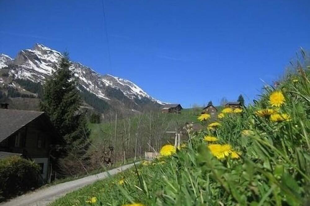 Photo of Outdoor in Matt
