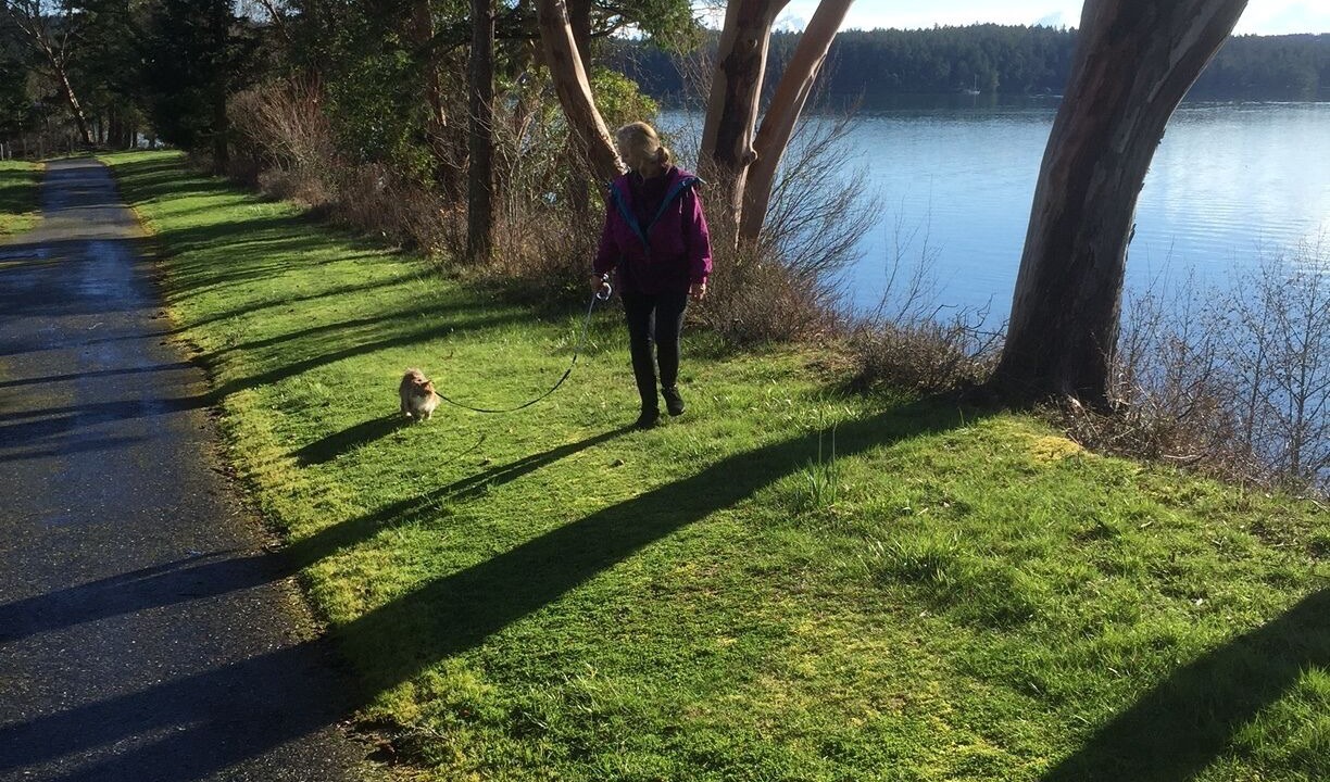 Photo of Others in Deer Harbor