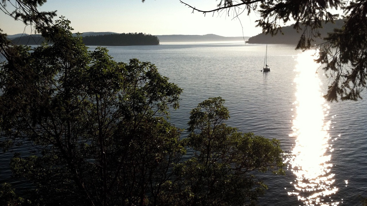 Photo of Others in Deer Harbor
