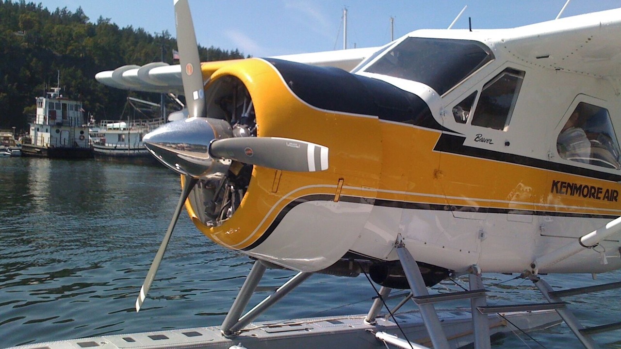 Photo of Others in Deer Harbor