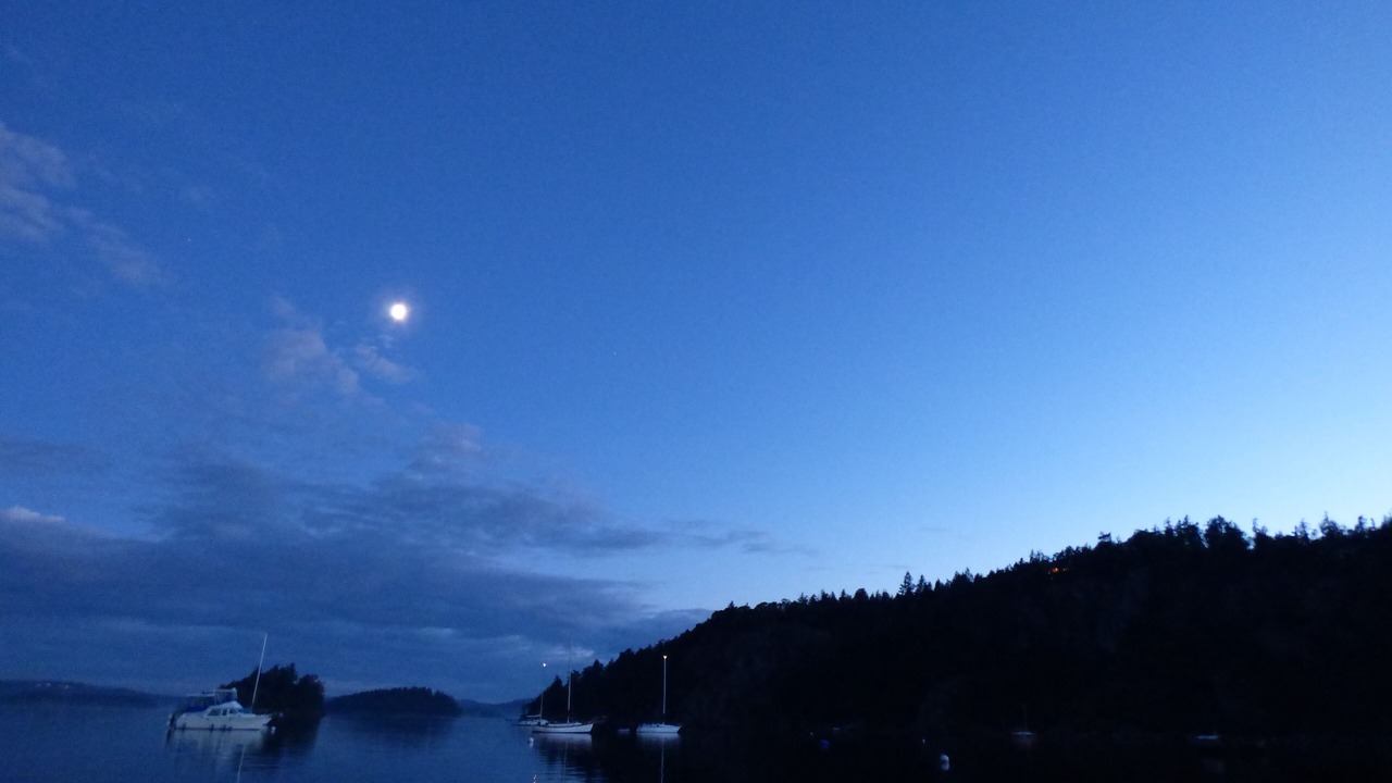 Photo of Others in Deer Harbor