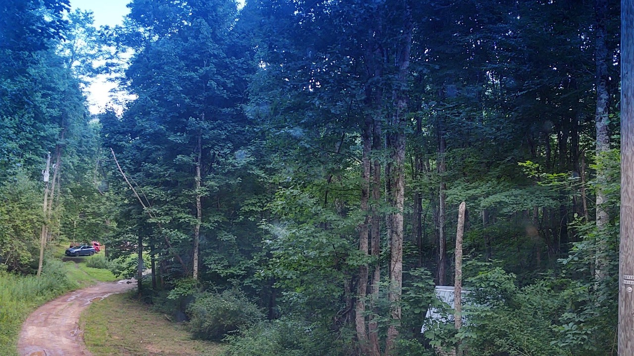 Photo of Outdoor in Millpoint