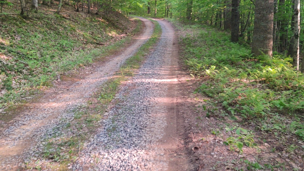 Photo of Outdoor in Millpoint