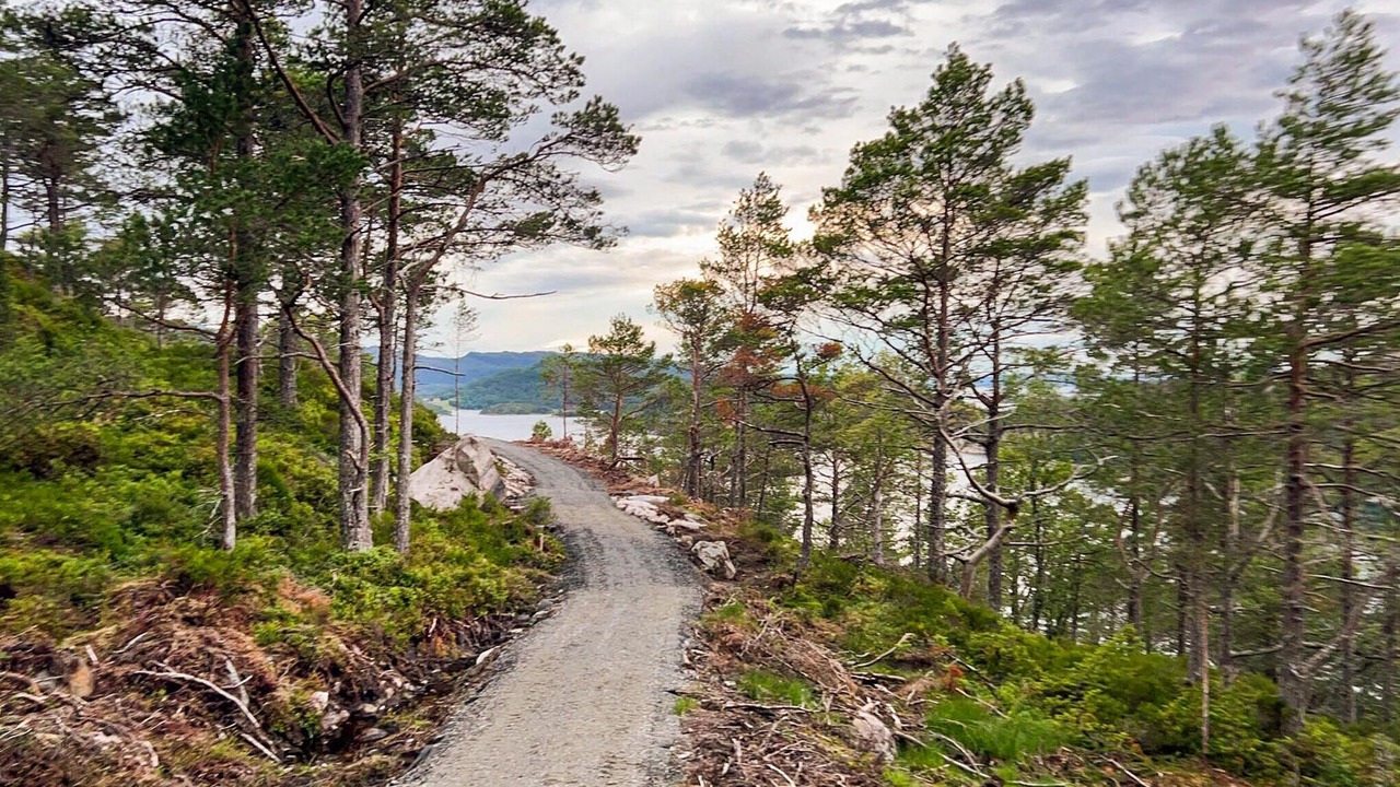 Photo of Outdoor in Hemne