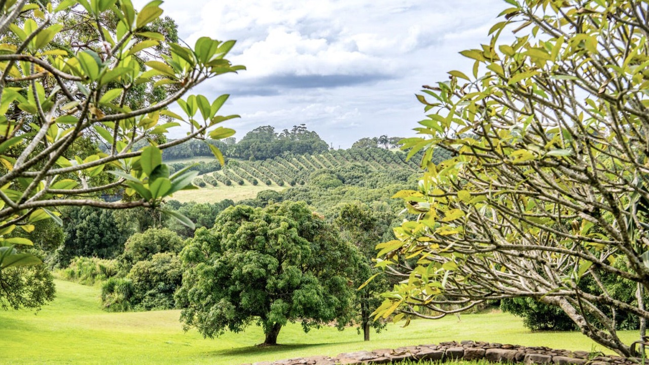 Photo of Others in Bangalow