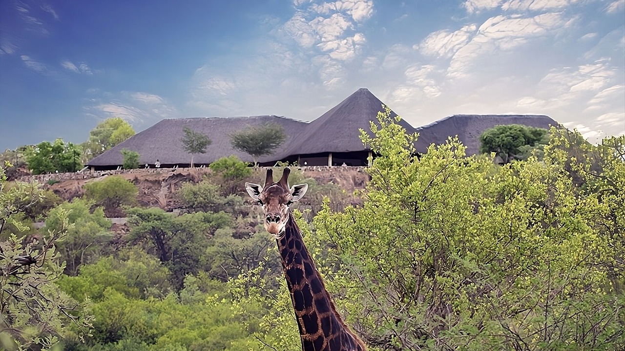 Photo of Outdoor in Gaborone