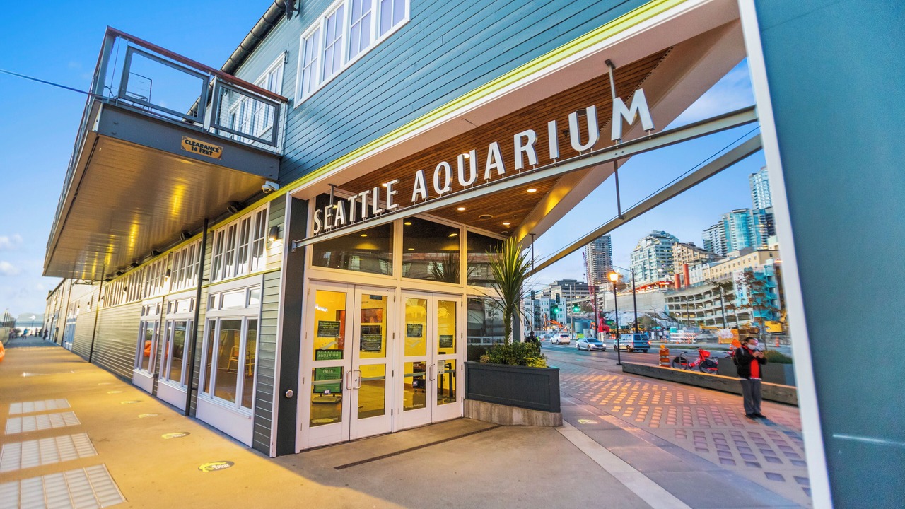 Photo of Outdoor in Belltown