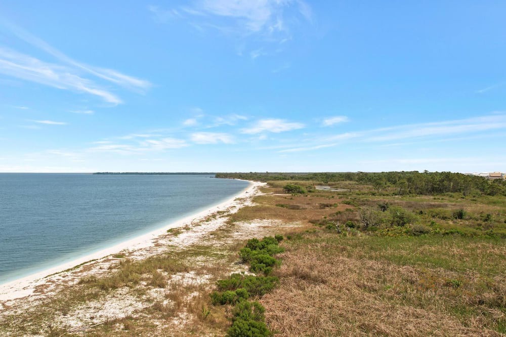 Photo of Others in Fort Morgan Pines
