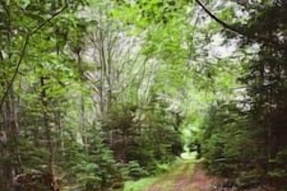 Photo of Others in Birchtown