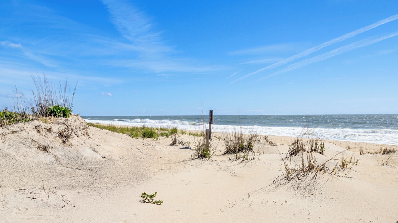 Photo of Others in Midtown Ocean City