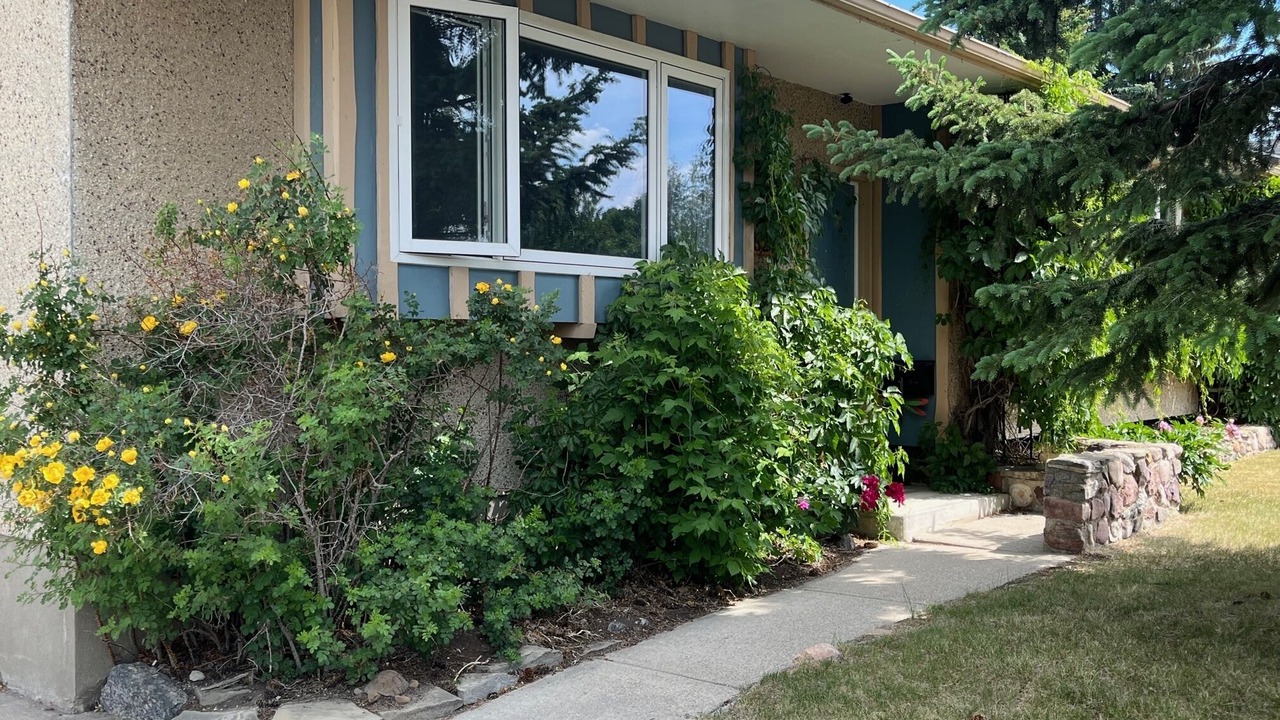 Photo of Outdoor in Olds
