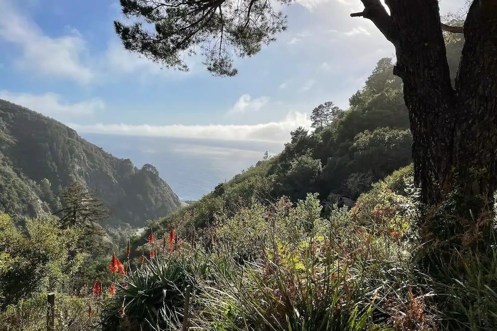 Photo of Outdoor in Big Sur