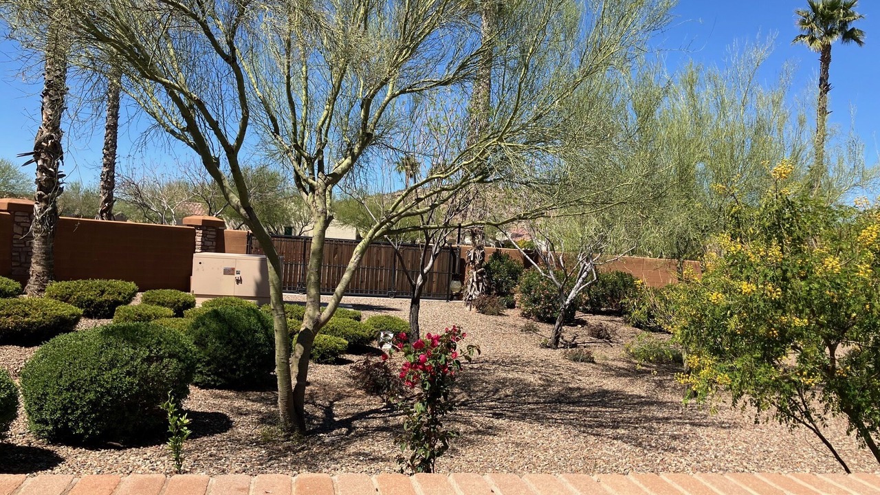 Photo of Outdoor in Eleven Mile Corner