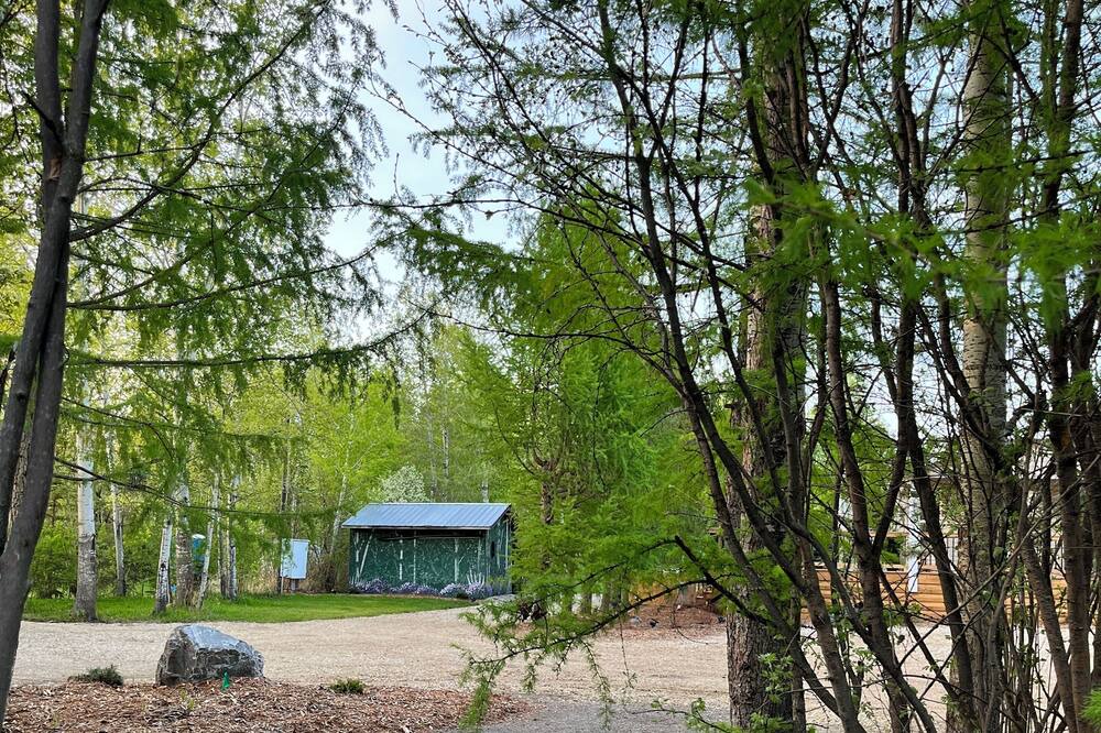 Photo of Outdoor in Central Alberta