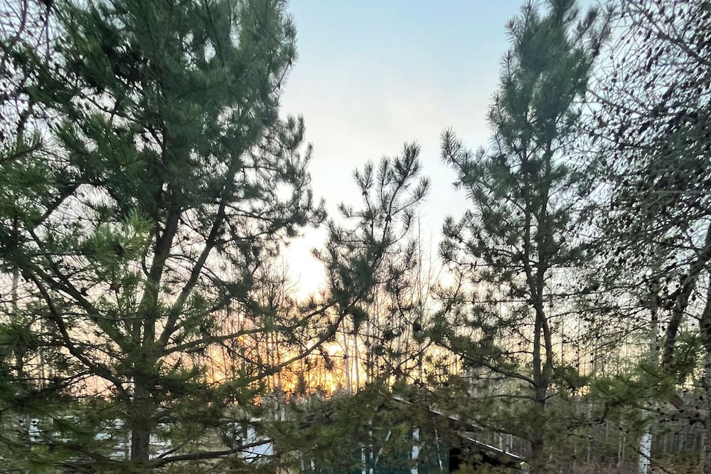 Photo of Outdoor in Central Alberta