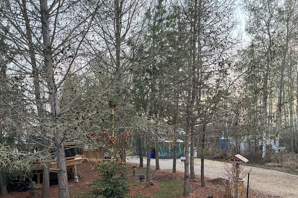 Photo of Outdoor in Central Alberta