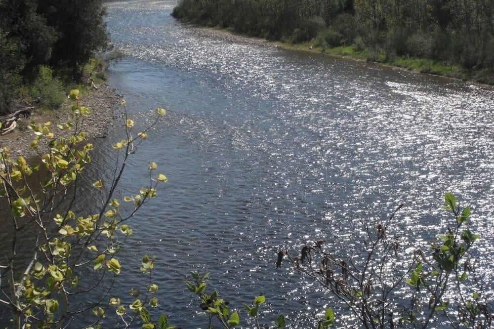 Photo of Others in Gaspe