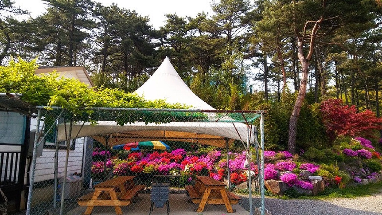 Photo of Others in Yongin
