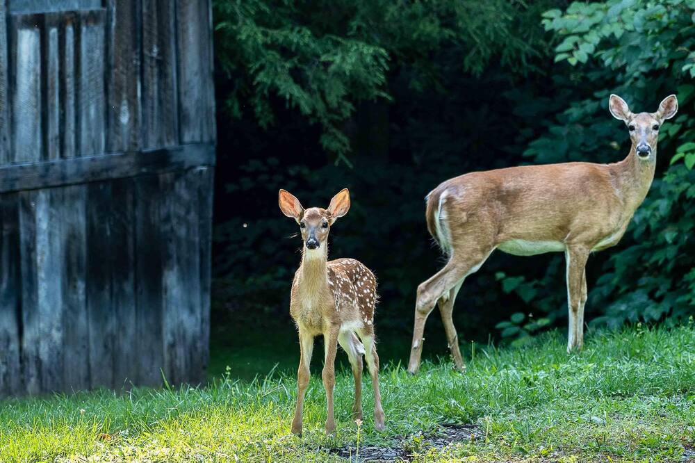 Photo of Others in Ansted