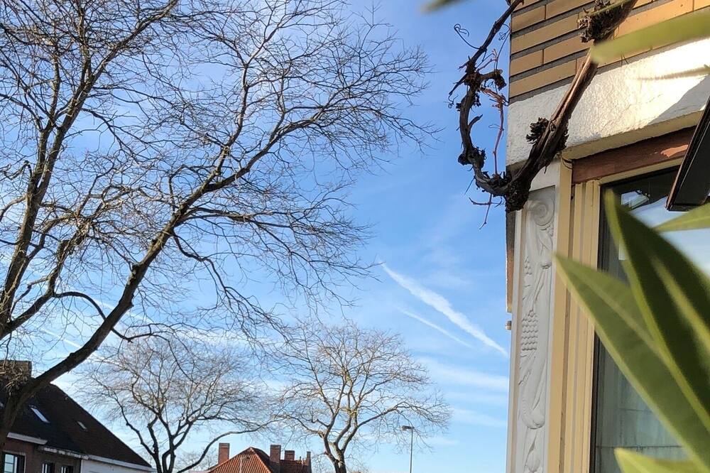 Photo of Outdoor in Sint-Michiels
