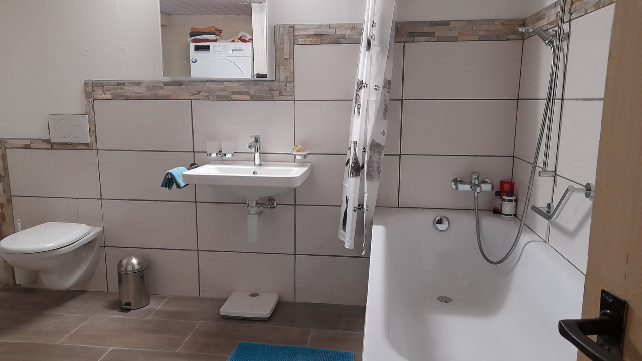 Photo of Bathroom in Surava