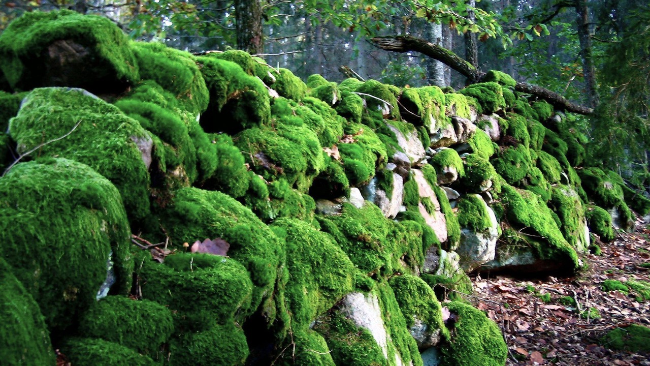 Photo of Outdoor in Tingsryd