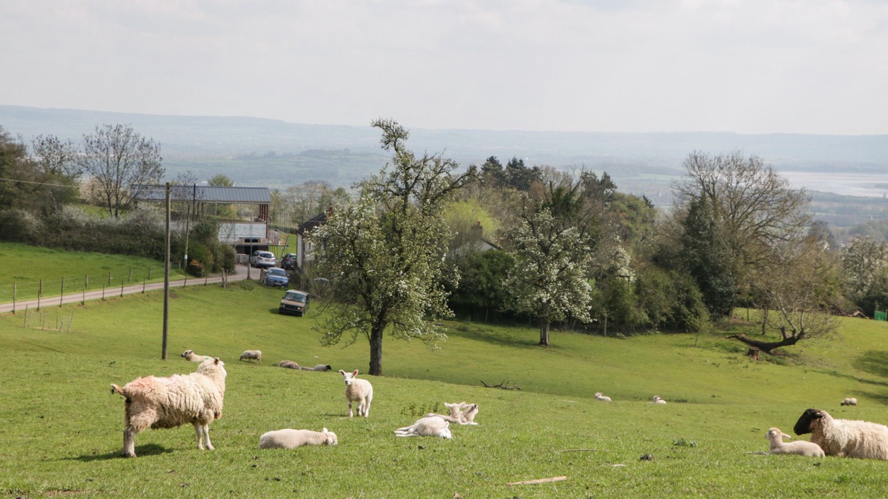 Photo of Others in Littledean