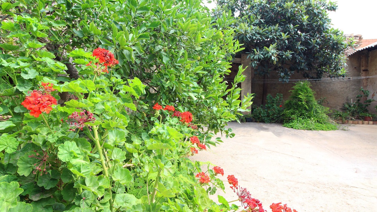 Photo of Outdoor in Quartell