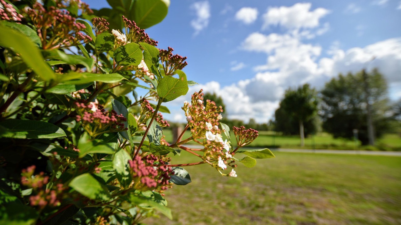 Photo of Outdoor in Zingem