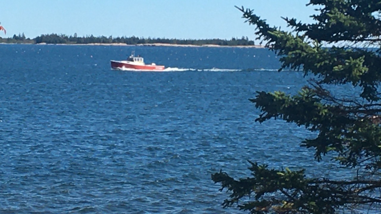 Photo of Others in Prospect Harbor