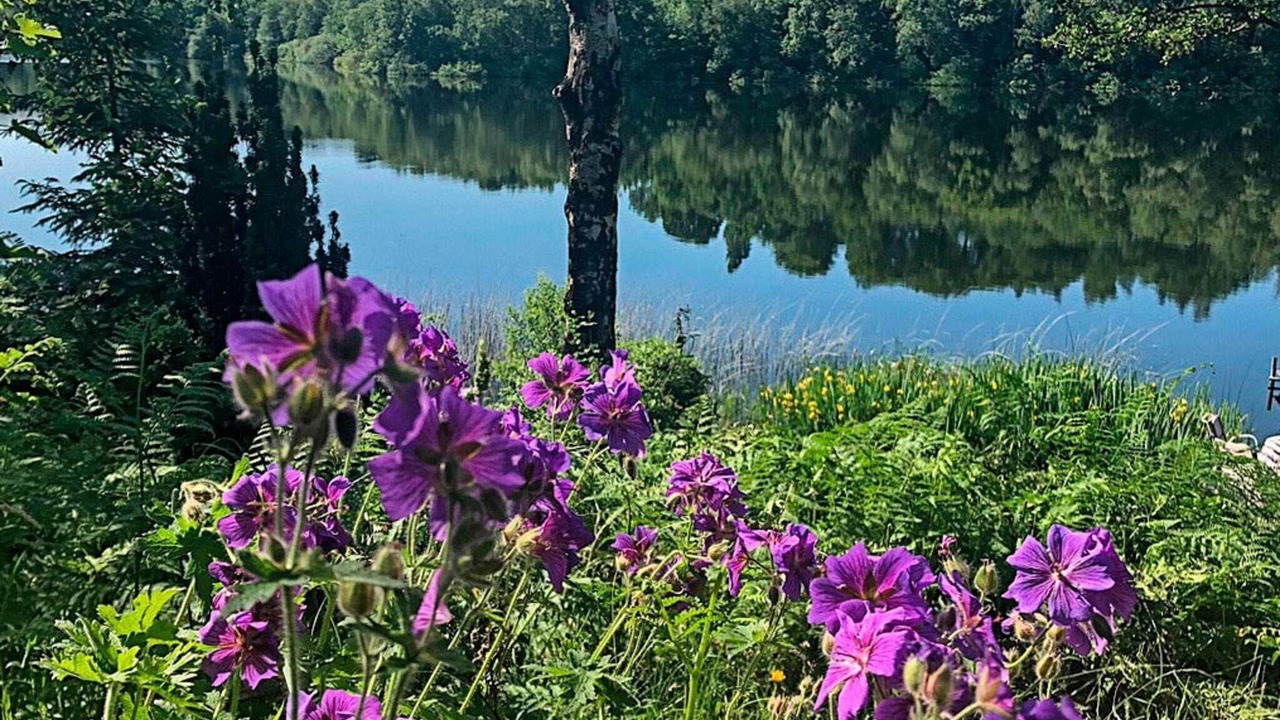 Photo of Outdoor in Bryrup