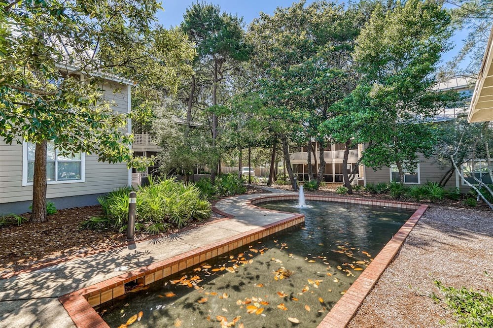 Photo of Outdoor in Gulf Pines