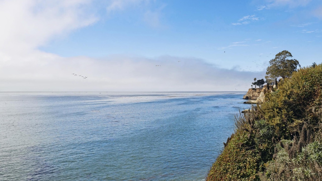 Photo of Others in Capitola