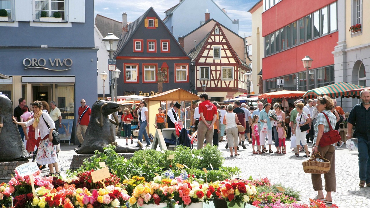 Photo of Others in Offenburg
