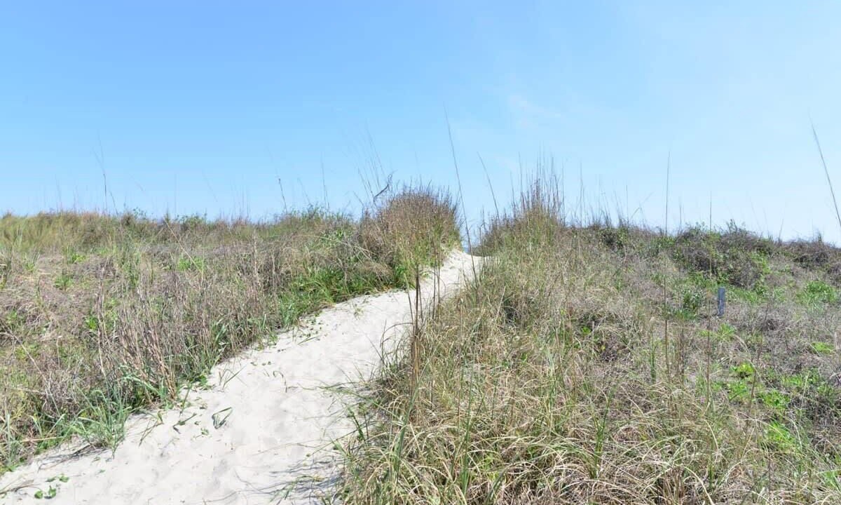 Photo of Outdoor in North Myrtle Beach