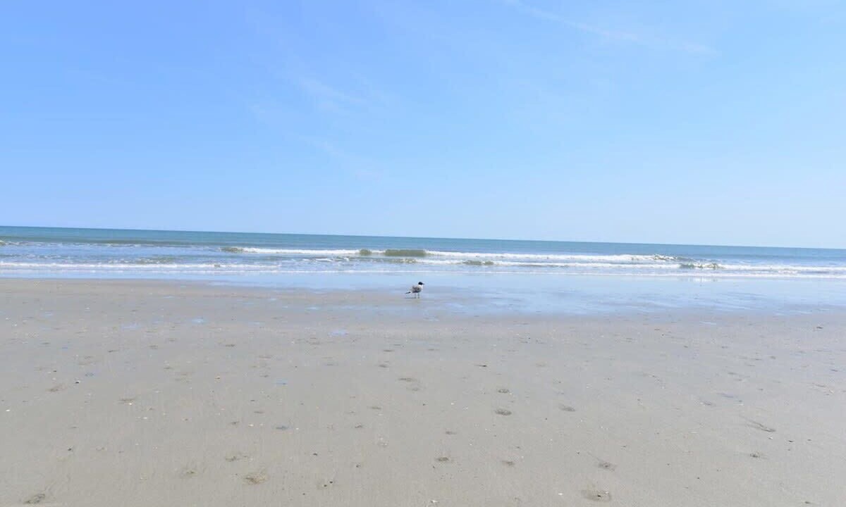 Photo of Others in North Myrtle Beach