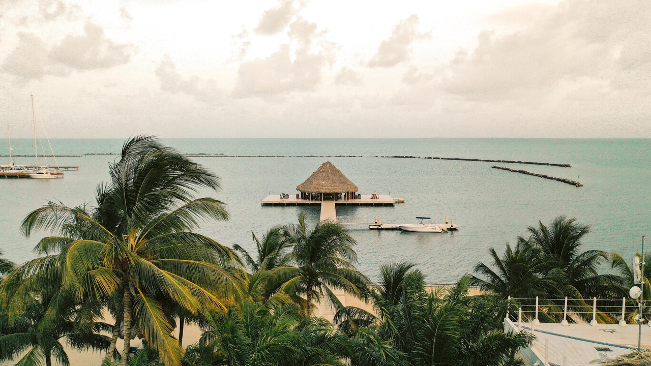 Photo of Others in Placencia