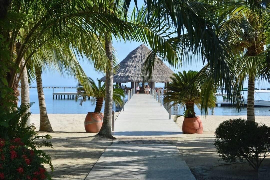 Photo of Others in Placencia