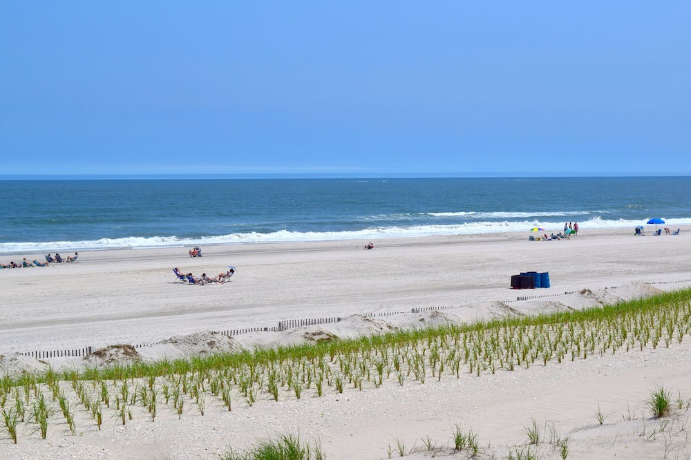 Photo of Others in Townsend's Inlet