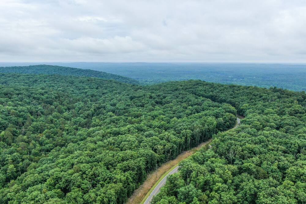 Photo of Others in Pine Mountain Valley