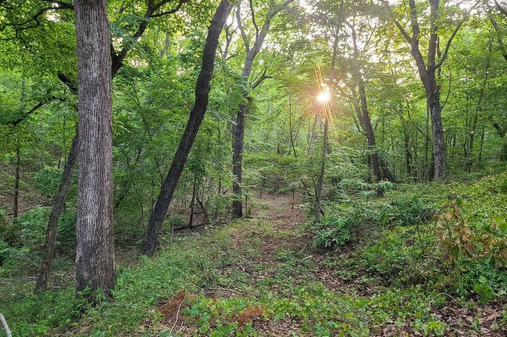 Photo of Outdoor in Pine Mountain Valley