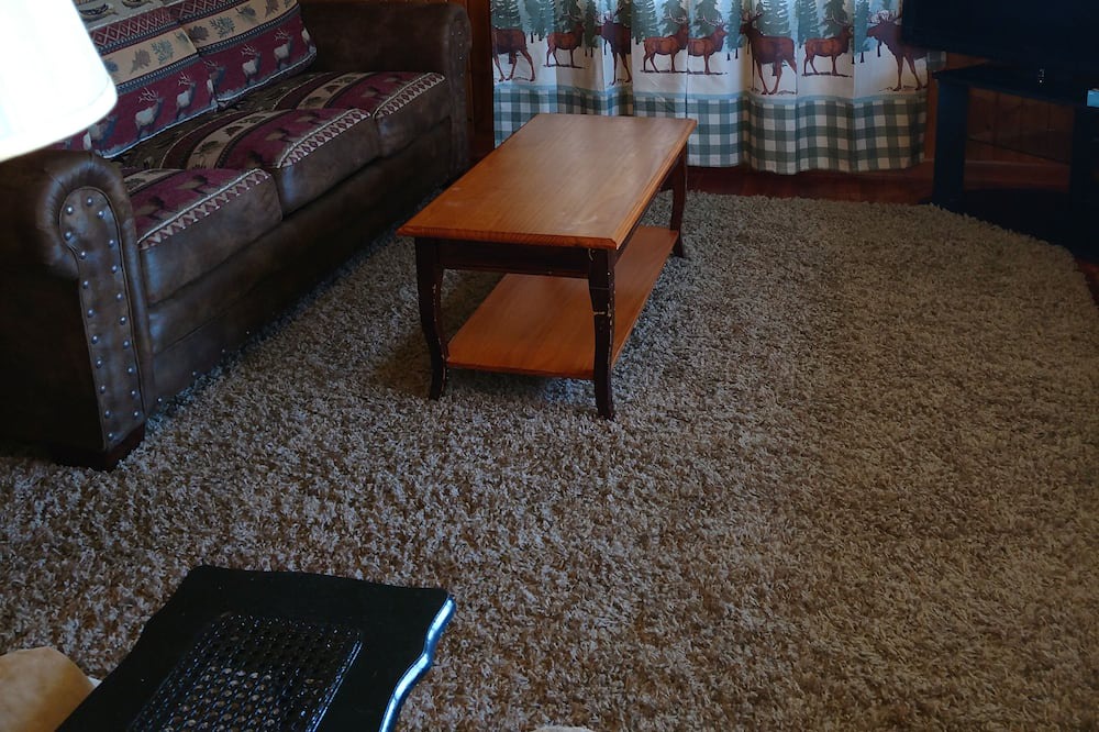Photo of Livingroom in Ipava